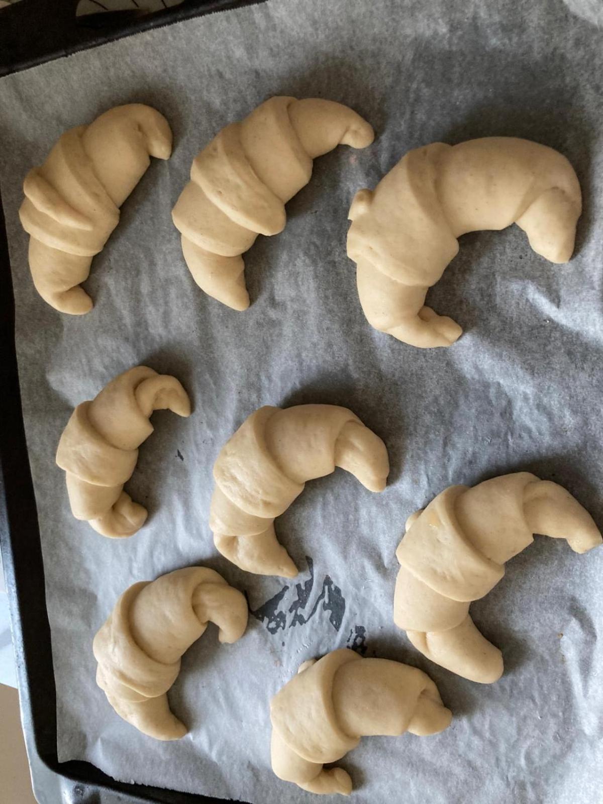 Biancogelso Vegan *